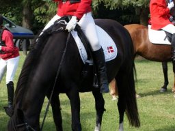 556569_10151090367813585_120423474_n